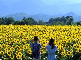 Vé máy bay tết đi Vinh