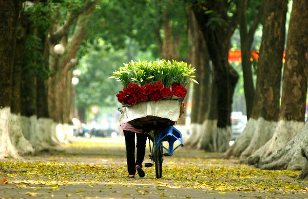 Vé máy bay đi Hà Nội Vietjet