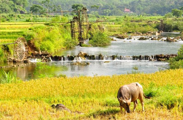 pu-luong-thanh-hoa