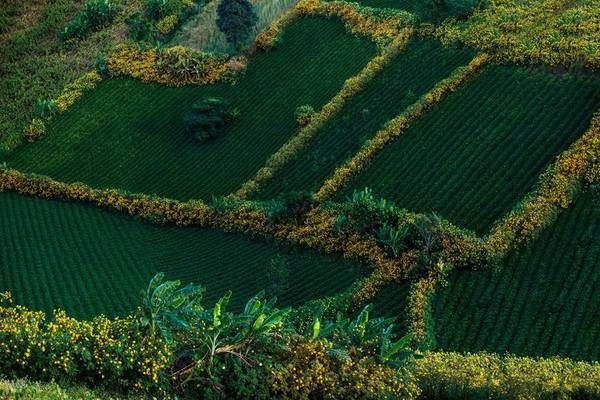 Vé máy bay Hà Nội Pleiku