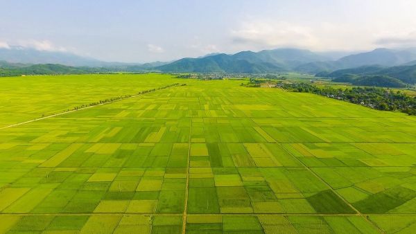 Vé máy bay Hà Nội Điện Biên