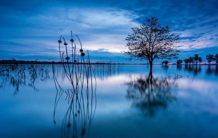 Vé máy bay Sài Gòn Buôn Mê Thuột