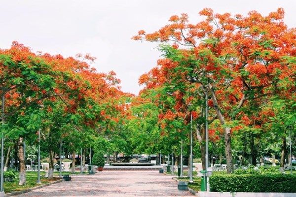 Vé máy bay Nha Trang Hải Phòng