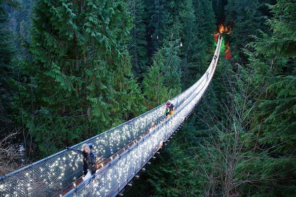 Cây cầu Capilano Suspension