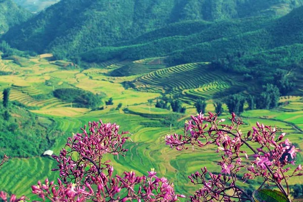 Vé máy bay Hà Nội Điện Biên