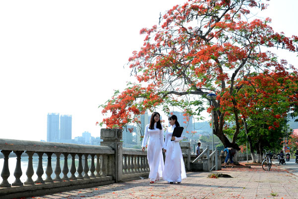 Vé máy bay Tết đi Hải Phòng