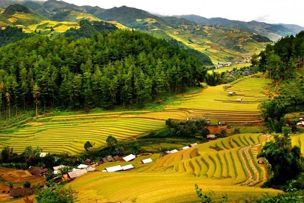 Vé máy bay Sài Gòn Thanh Hóa