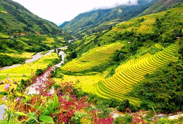 Săn vé máy bay giá rẻ tháng 4