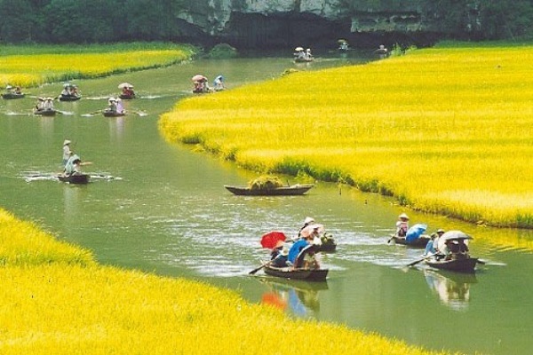 Săn vé máy bay giá rẻ tháng 5